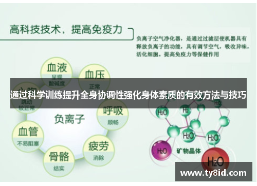 通过科学训练提升全身协调性强化身体素质的有效方法与技巧