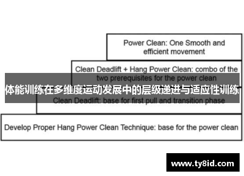 体能训练在多维度运动发展中的层级递进与适应性训练